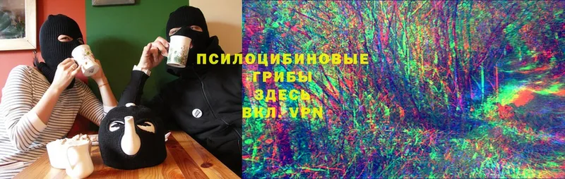 Галлюциногенные грибы Magic Shrooms  Калачинск 